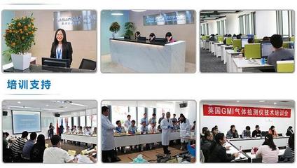 美國(guó)福祿克F319交直流數(shù)字鉗表 技術(shù)解析、選購(gòu)指南與應(yīng)用場(chǎng)景