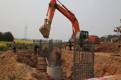 東坡區(qū)成立保障專組，為項(xiàng)目建設(shè)“滿血復(fù)活”注入強(qiáng)勁動力
